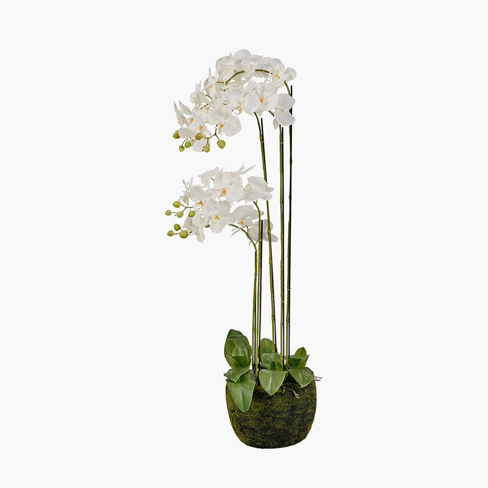 Artificial Tall White Orchid in Moss Pot